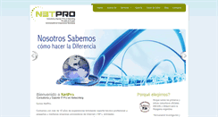 Desktop Screenshot of netpro-ar.com