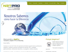 Tablet Screenshot of netpro-ar.com